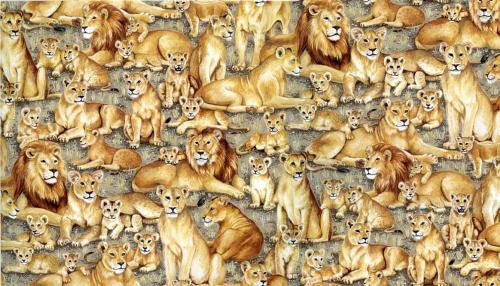 Fat de Tissu patchwork Makower - Lions - Collection Safari