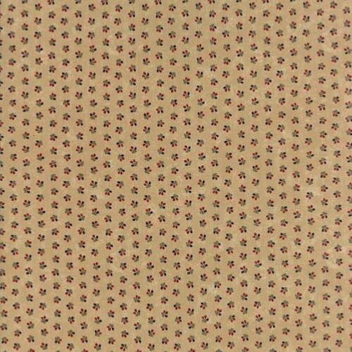 Tissu Moda Imprimé Tous petits motifs sur fond beige - Harvest Hill