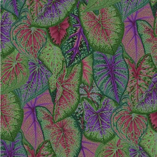 Tissu Kaffe Fassett - Caladium - PJ108 Dark