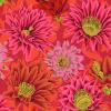 Tissu Patchwork Kaffe Fassett  - Cactus Flower - PJ096 Red