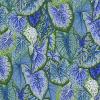 Tissu Kaffe Fassett - Caladium - PJ108 blue