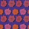 Tissu Kaffe Fassett violet - Shadow Flower Purple