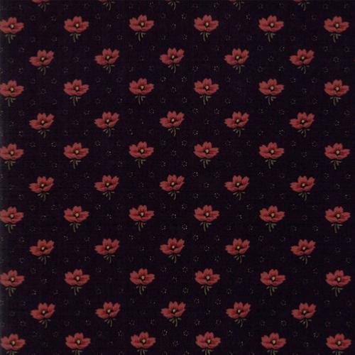 Tissu Moda Kensas Troubles Petits coquelicots sur fond noir - On Meadowlark Pond