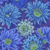 Tissu Patchwork Kaffe Fassett  - Cactus Flower - PJ096 Blue