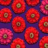 Tissu Kaffe Fassett violet - Zinnia Purple