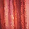  Tissu Batik Moda - Salsa - Rouge dégradé