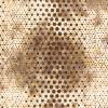  Tissu patchwork batik Pop Dot Coffee - Anthology 