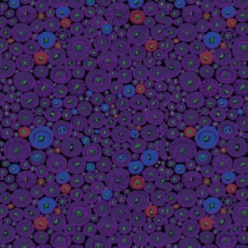 Tissu Kaffe Fassett - Button Mosaïc Purple