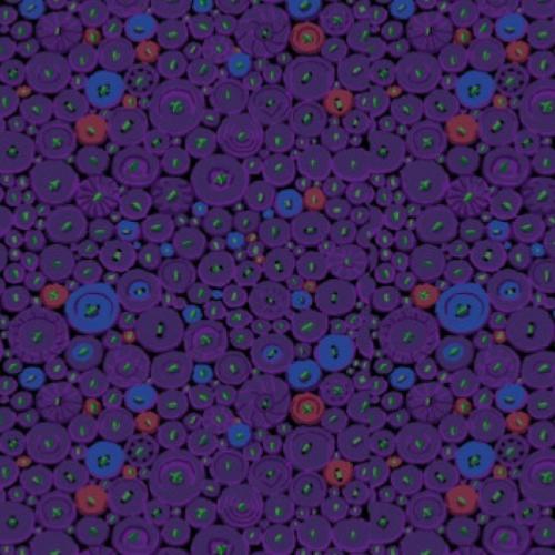 Tissu Kaffe Fassett - Button Mosaïc Purple