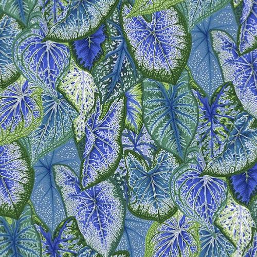 Tissu Kaffe Fassett - Caladium - PJ108 blue