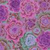 Tissu Kaffe Fassett Parme - Brassica - PJ051 Magenta