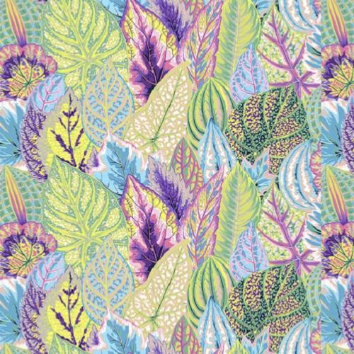 Tissu Kaffe Fassett - Coleus - PJ030 Contrast