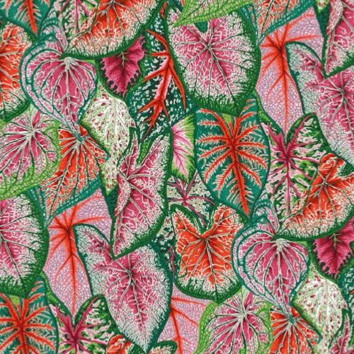 Tissu Kaffe Fassett - Caladium - PJ108 bright