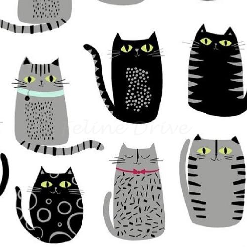 Tissu patchwork Chats gris et noirs - Quilting Treasures - Cat Fish blanc